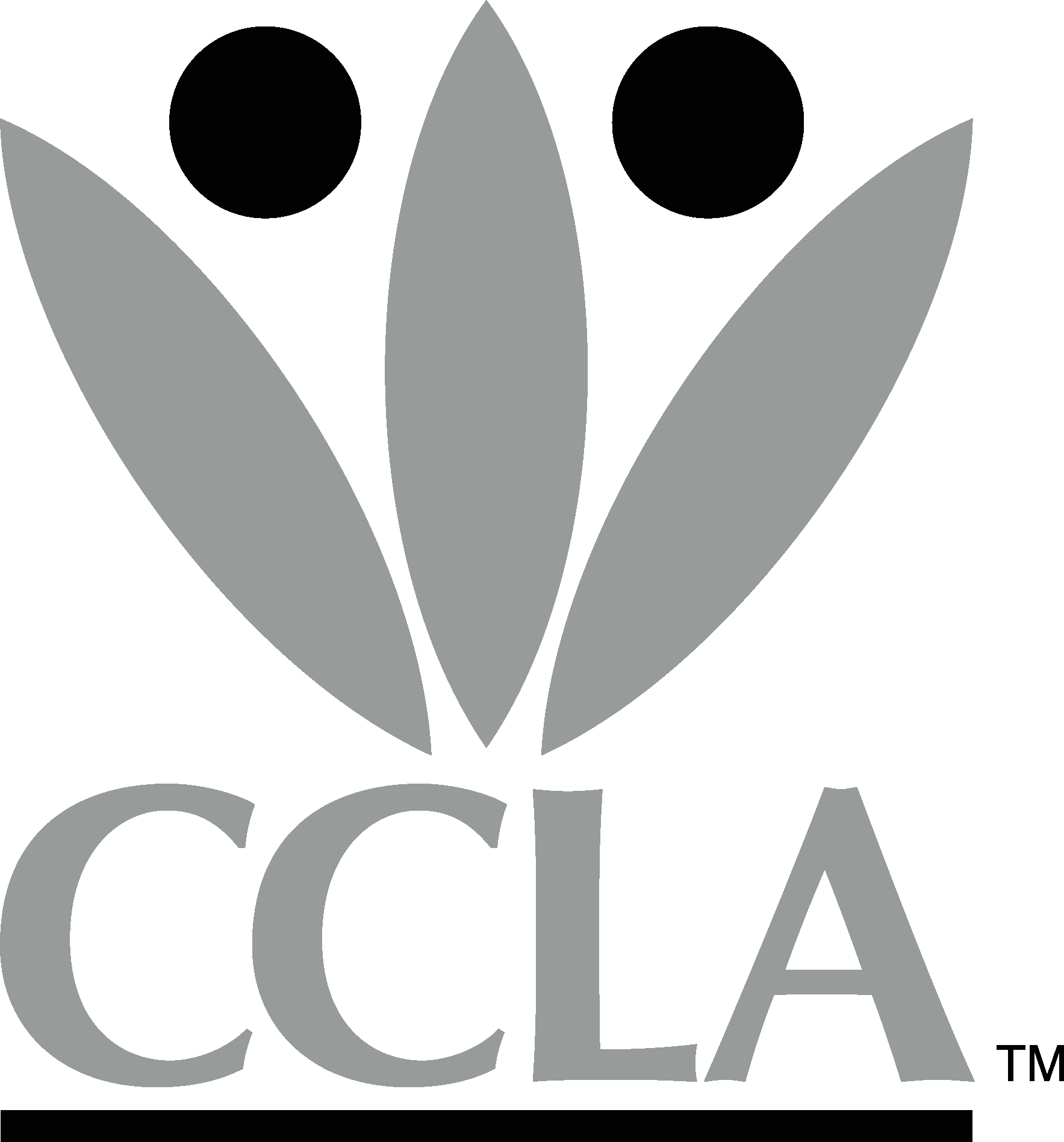 CCLA Investment Management Limited New Logo Vector Logo